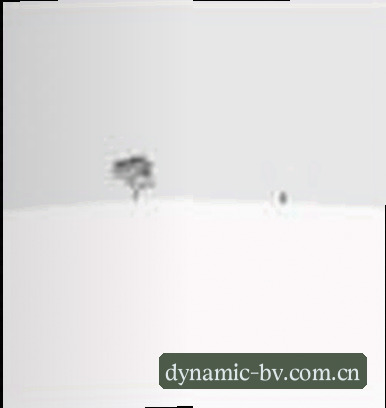 吴磊